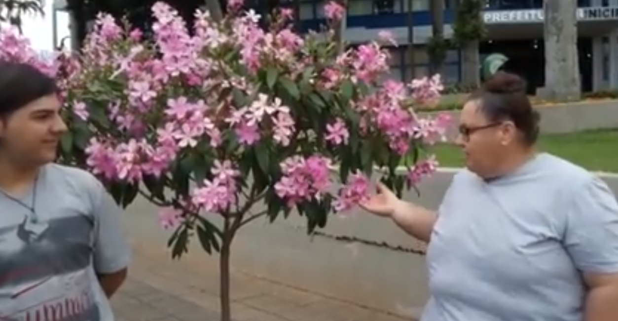 REFLORESTAMENTO NA ÁREA URBANA DA CIDADE, JARDIM ALEGRE MUITO MAIS ALEGRE